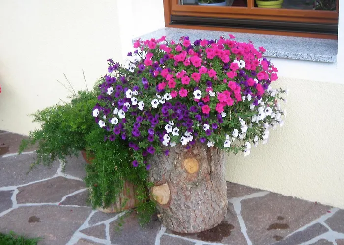 Gemsenblick Leutasch